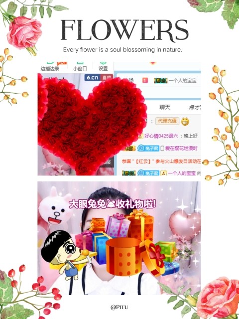 新主播🐰大眼兔兔休的主播照片