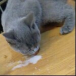 o(≧v≦)o老公