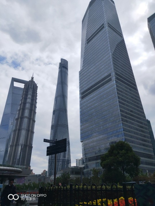 读了羊皮卷的人的图片