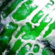昵称违规，请重新修改主播照片
