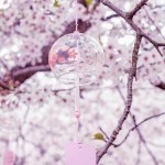 昵称违规-就不修改