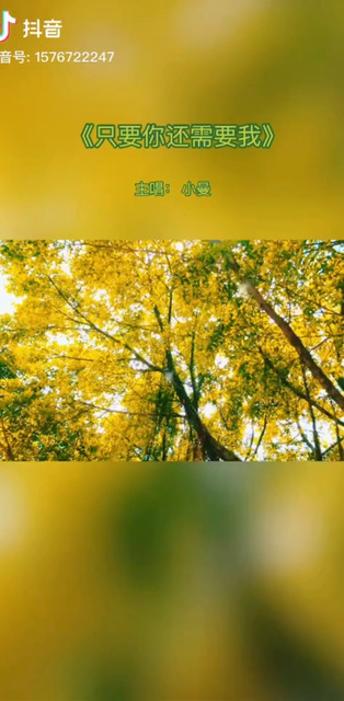 我需要你的时候你在哪？