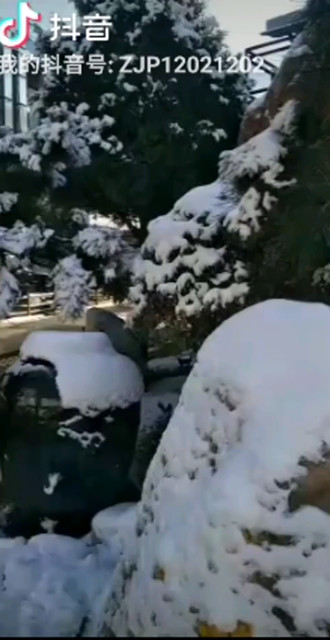 忽来的一场雪