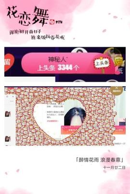 喵崽小花猫主播照片
