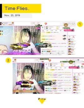 一只雁~主播照片