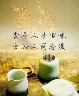 დ释怀დ主播照片