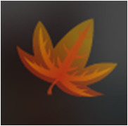 人间某处主播照片