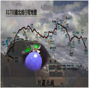 人间某处主播照片