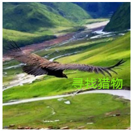 人间某处主播照片