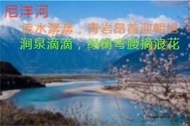 人间某处主播照片