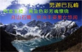 人间某处主播照片