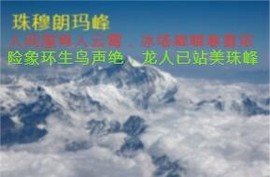 人间某处主播照片