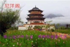 人间某处主播照片