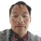 孤独的心v8n海报