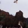 难得糊涂sx37