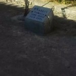 狂妄的歌