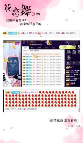 喵崽小花猫主播照片