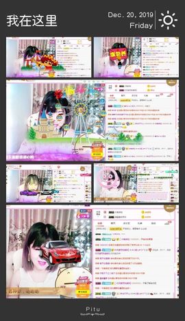 一只雁~主播照片