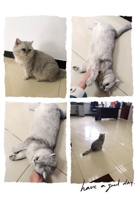 馨小艺🎀主播照片