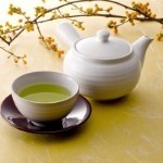 神彩鹿海报