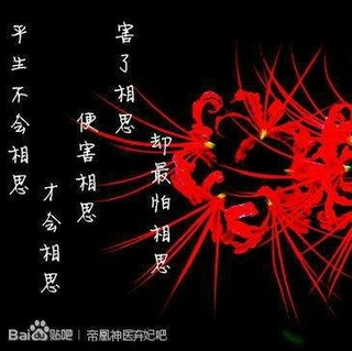 歆之彼岸