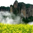 荣登地板海报