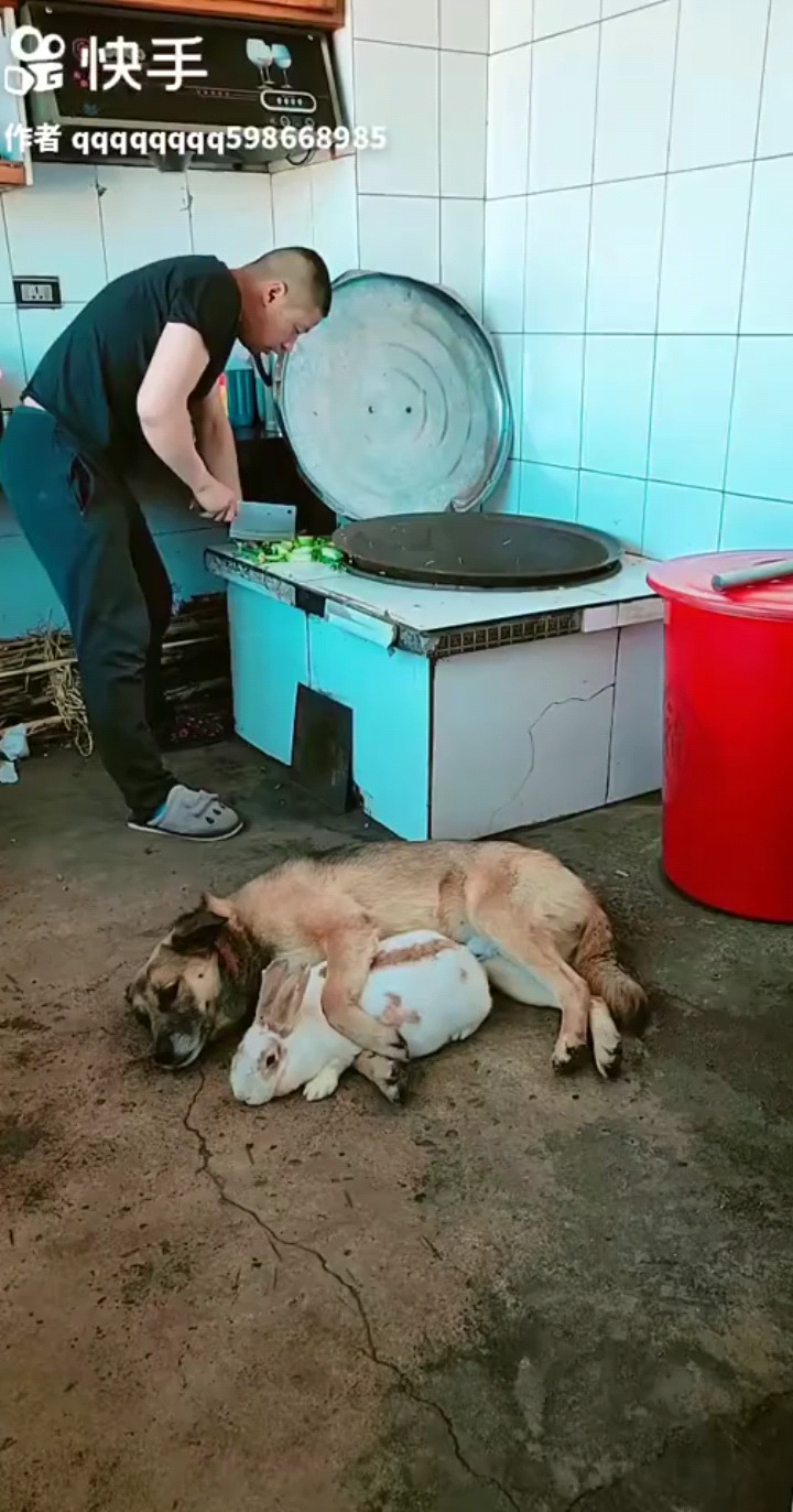 再牛的虎子