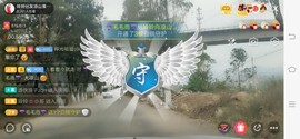 广西玲玲🌻主播照片