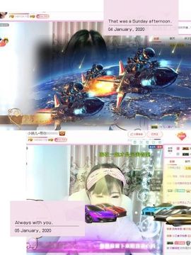 一只雁~主播照片