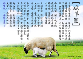 დ释怀დ主播照片