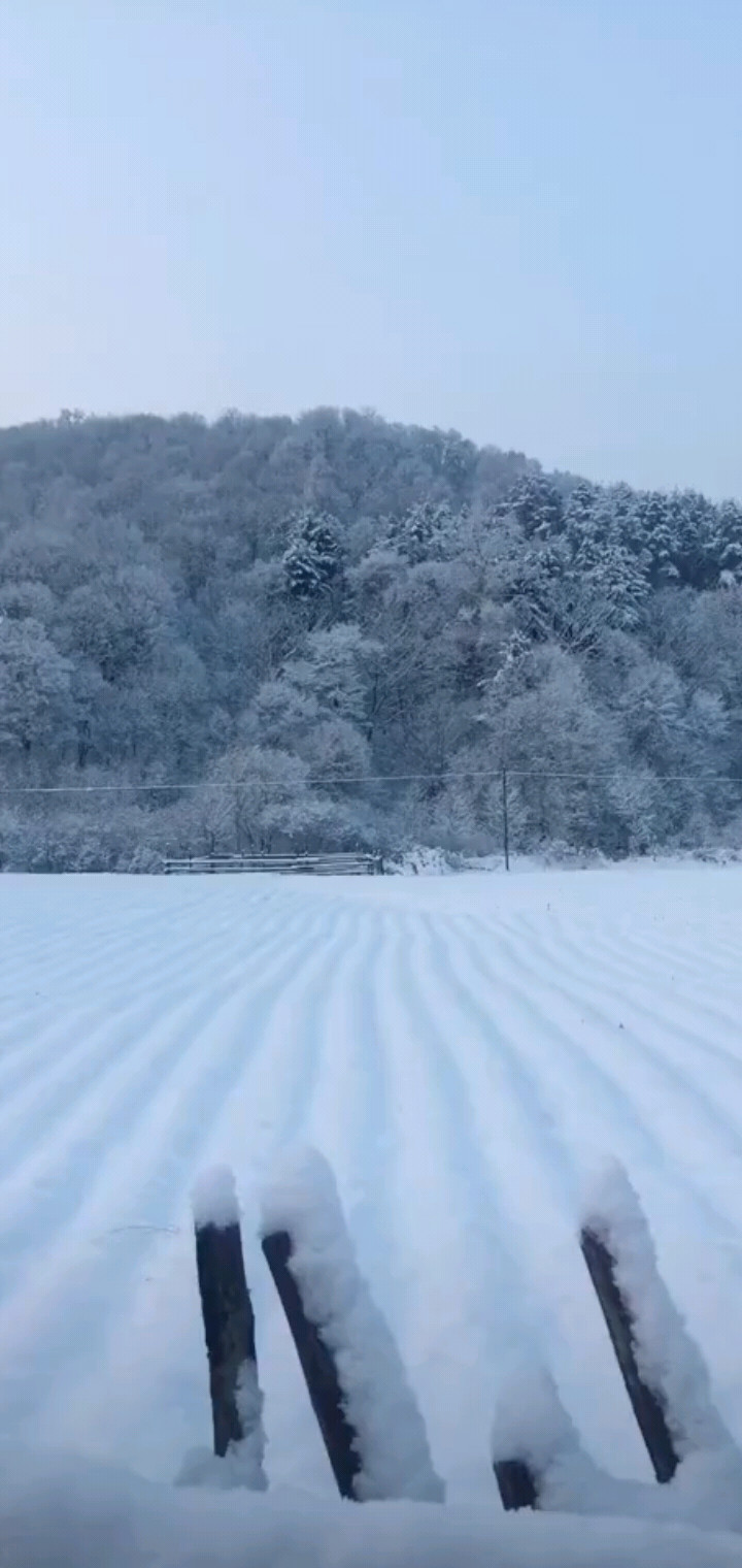 我的家乡美丽的雪景