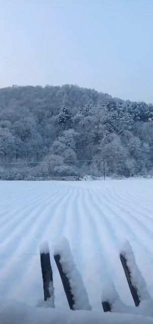 我的家乡美丽的雪景