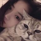 💗吃肉的💗小白兔🐰