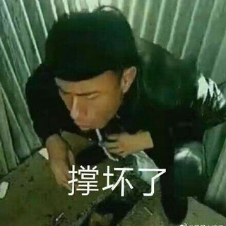 狗子的爱梦