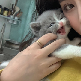 一只小绵羊咩主播照片