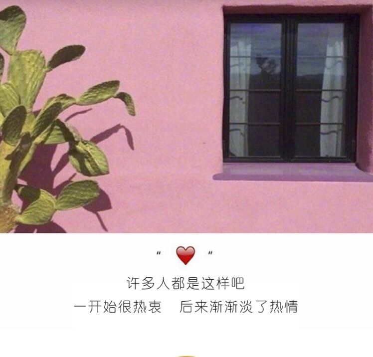 愿你安好~💕的主播照片