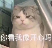 倒腾倒腾