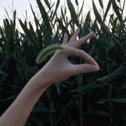 踏破三界为你而来海报