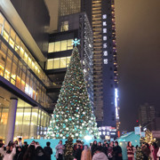 美美丫海报