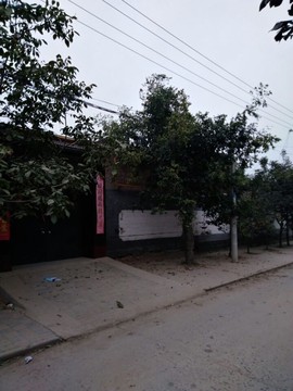 楹婪（张合）主播照片