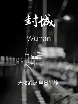 🐰渔小兔🐰主播照片