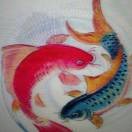 年年有鱼🐠*的头像