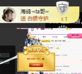 海鸽晚上见主播照片