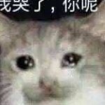 莽哥哥…海报
