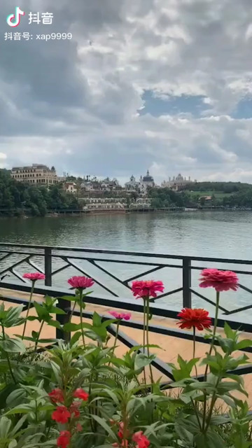 美丽的上海老面馆