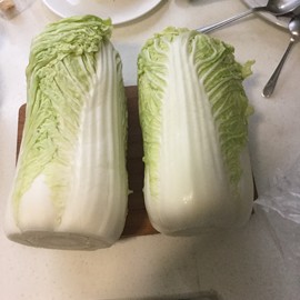 新人21😌主播照片