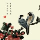 独宠思语的暖男