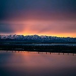 ✘翰林子墨✘海报