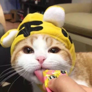 给广告费沙县小吃