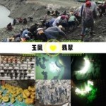 玉凰翡翠的頭像